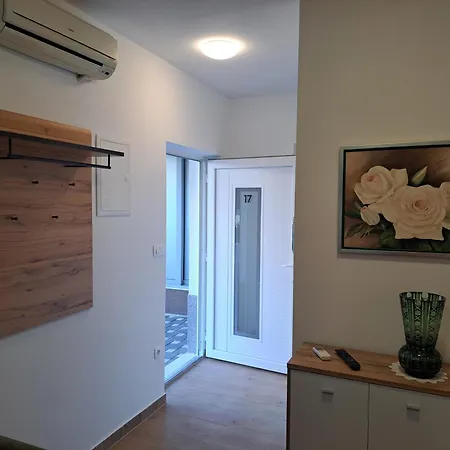 Apartment Iko Cista Provo