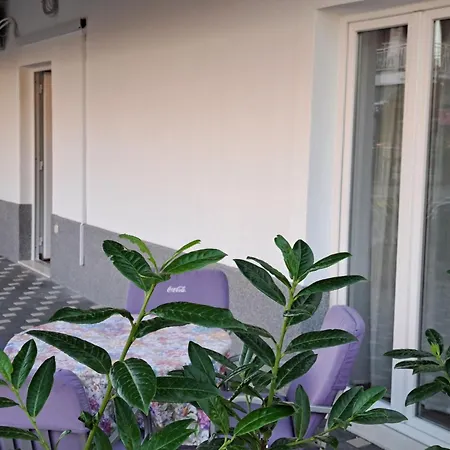 Iko *
